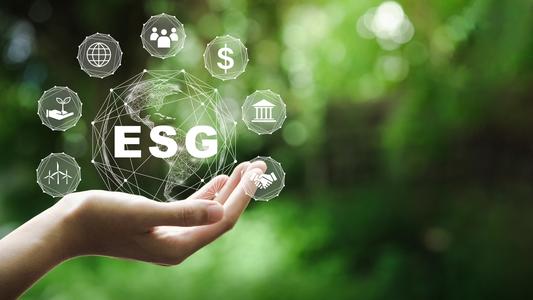 servicios ESG trasnversales
