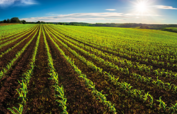 producción ecológica y sostenibilidad en el sector agroalimentario